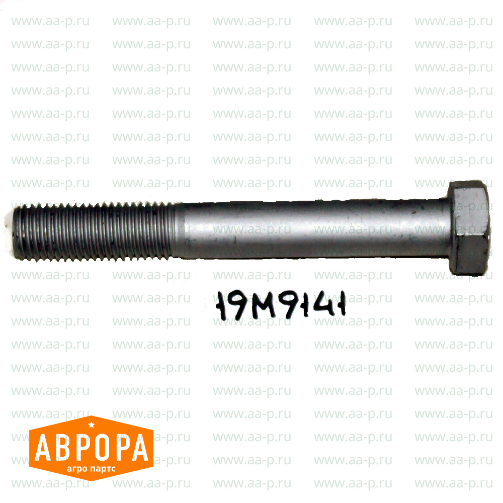 19M9141 ВИНТ С ГОЛОВКОЙ